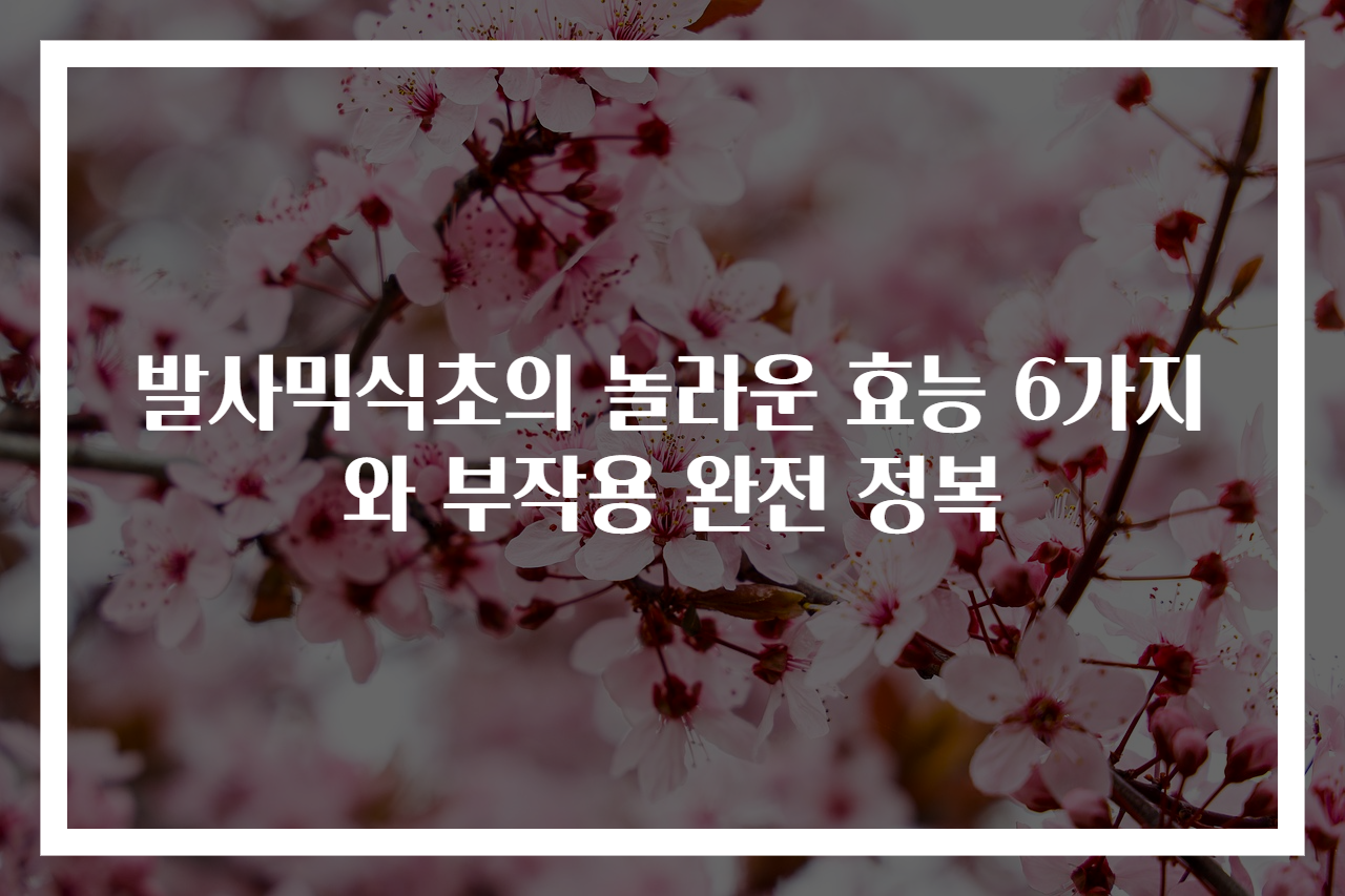 발사믹식초의 놀라운 효능 6가지와 부작용 완전 정복