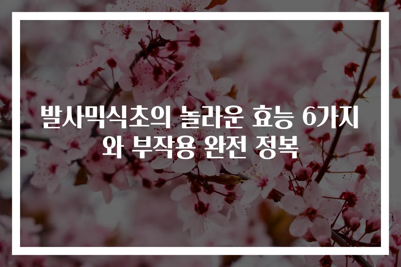 발사믹식초의 놀라운 효능 6가지와 부작용 완전 정복