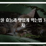 밤꿀 효능과 맛있게 먹는법 3가지
