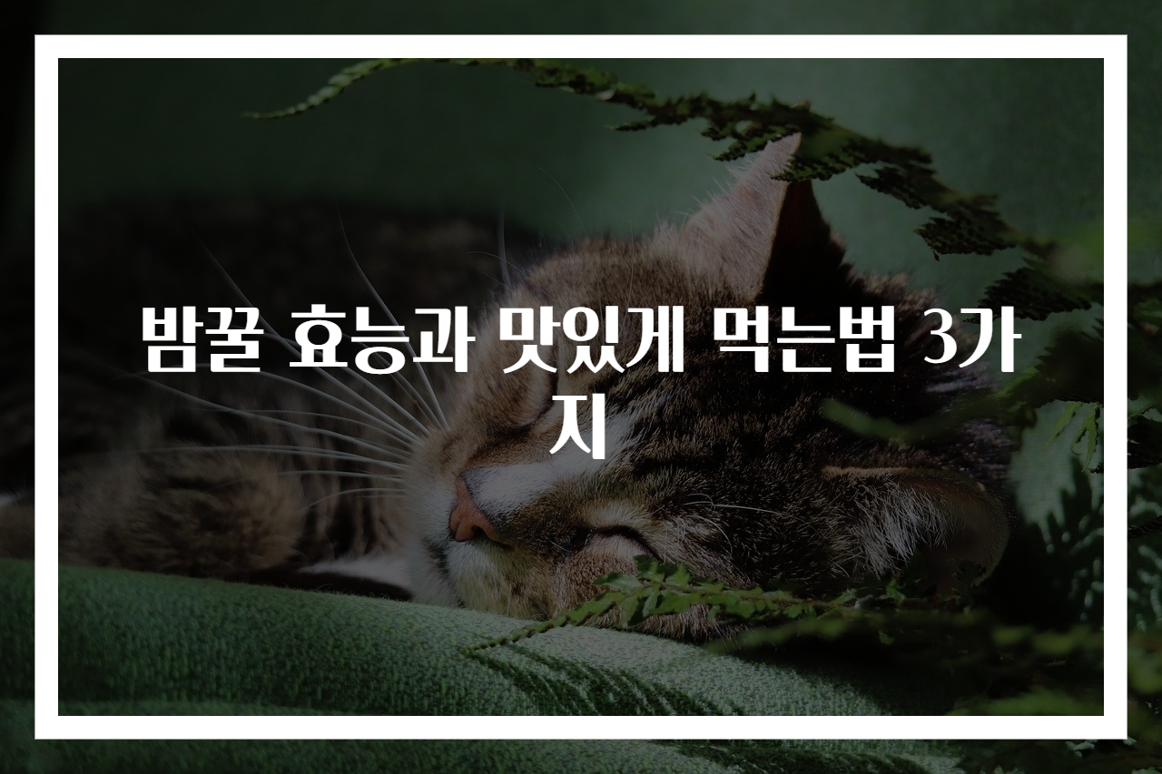 밤꿀 효능과 맛있게 먹는법 3가지