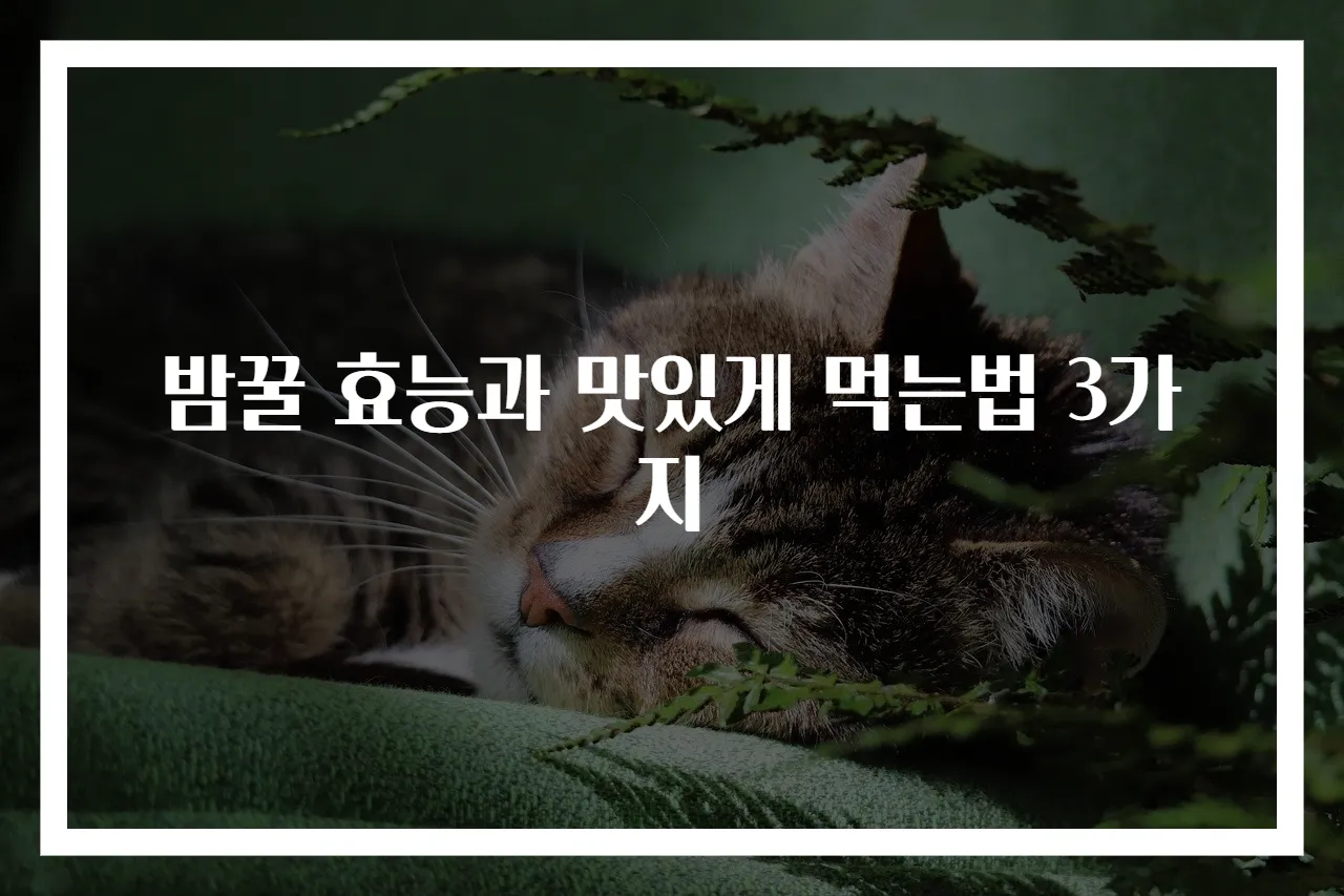 밤꿀 효능과 맛있게 먹는법 3가지
