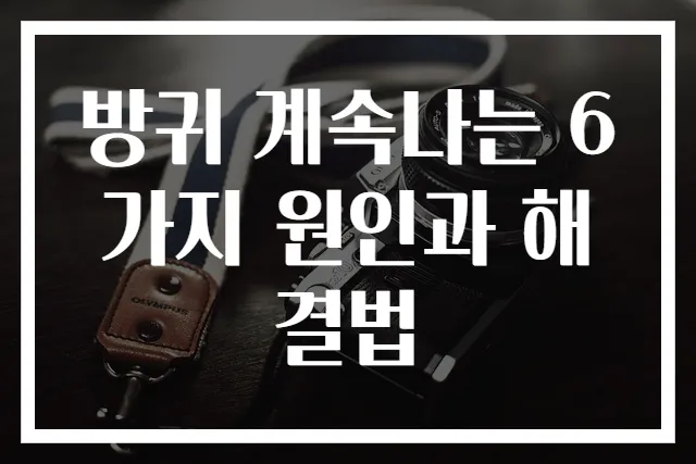 방귀 계속나는 6가지 원인과 해결법