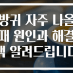 방귀 자주 나올 때 원인과 해결책 알려드립니다