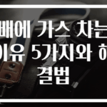 배에 가스 차는 이유 5가지와 해결법