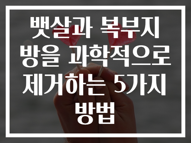 뱃살과 복부지방을 과학적으로 제거하는 5가지 방법