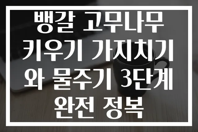 뱅갈 고무나무 키우기 가지치기와 물주기 3단계 완전 정복