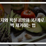벽지와 욕실 곰팡이 3단계로 완벽 제거하는 법