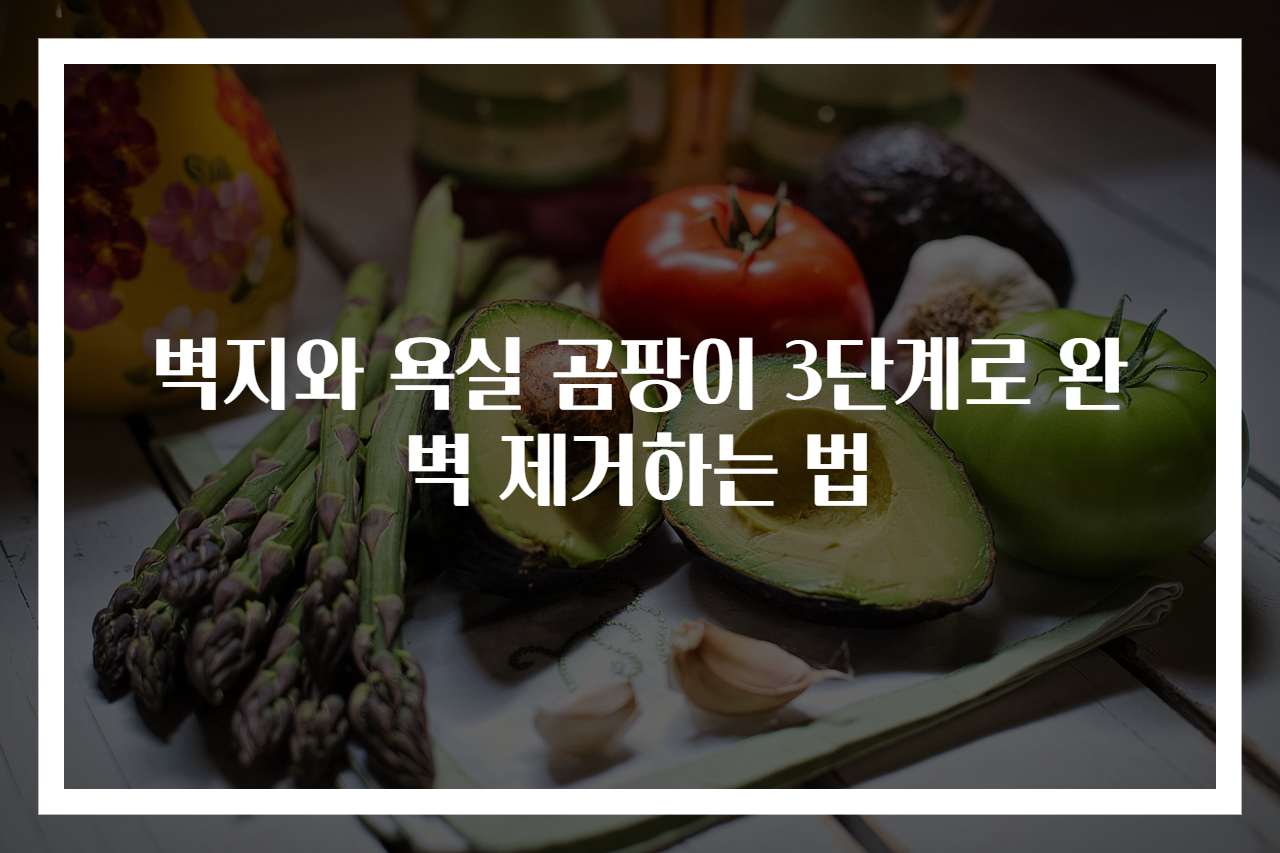 벽지와 욕실 곰팡이 3단계로 완벽 제거하는 법