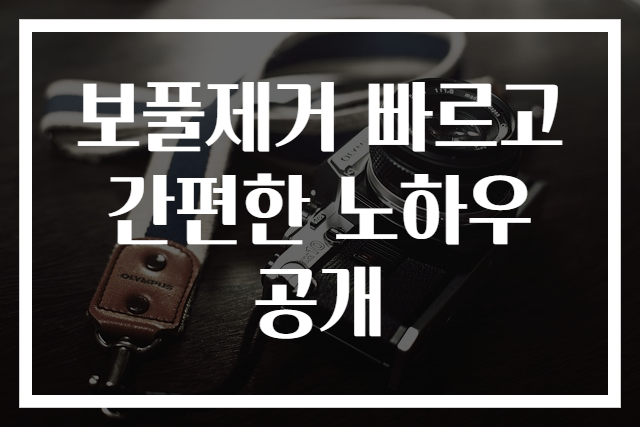 보풀제거 빠르고 간편한 노하우 공개