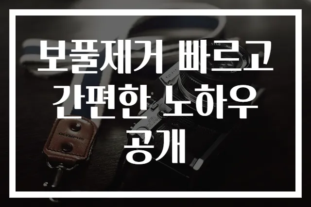 보풀제거 빠르고 간편한 노하우 공개