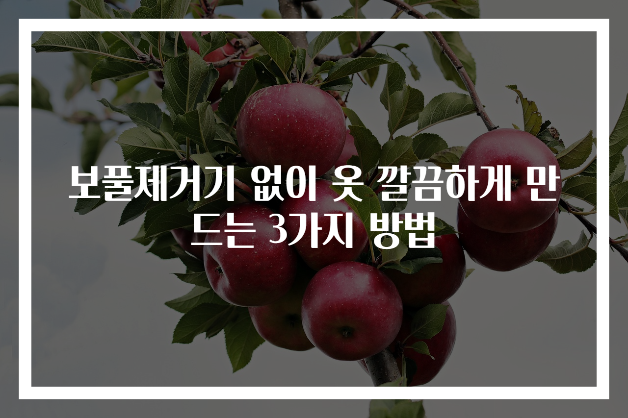 보풀제거기 없이 옷 깔끔하게 만드는 3가지 방법