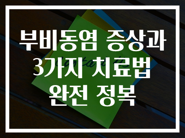 부비동염 증상과 3가지 치료법 완전 정복