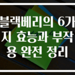 블랙베리의 6가지 효능과 부작용 완전 정리