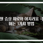 빈혈 증상 피로와 어지러움 극복하는 3가지 방법