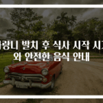 사랑니 발치 후 식사 시작 시기와 안전한 음식 안내
