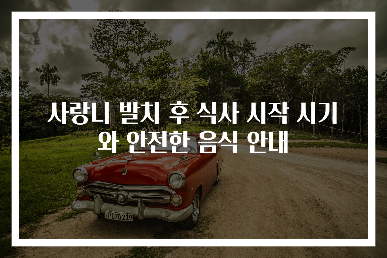 사랑니 발치 후 식사 시작 시기와 안전한 음식 안내