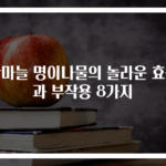 산마늘 명이나물의 놀라운 효능과 부작용 8가지