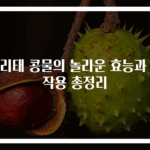 서리태 콩물의 놀라운 효능과 부작용 총정리