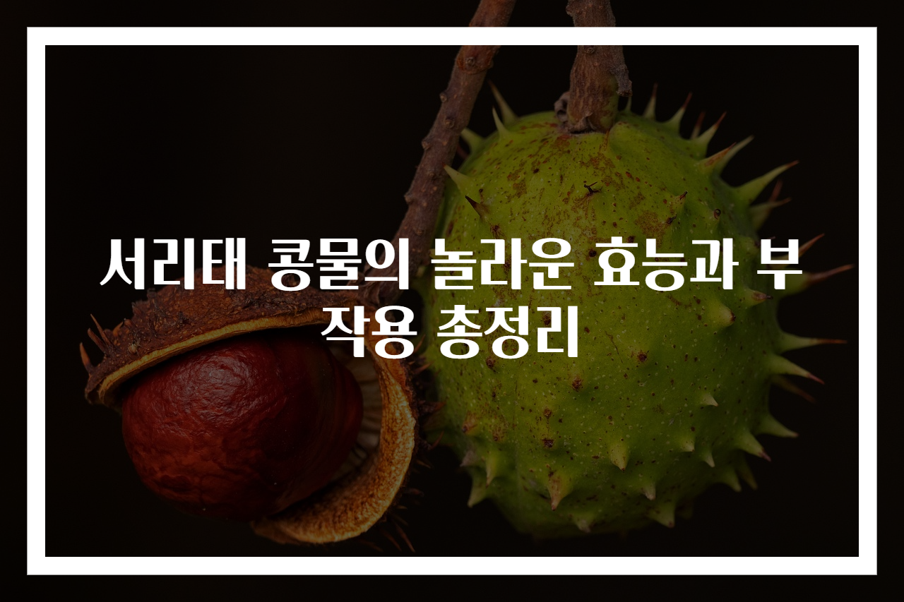 서리태 콩물의 놀라운 효능과 부작용 총정리