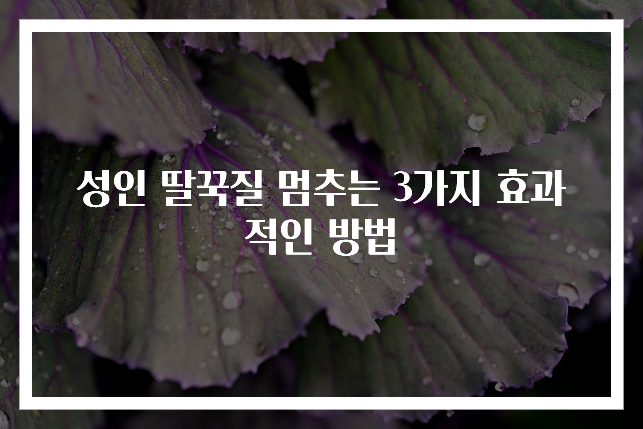 성인 딸꾹질 멈추는 3가지 효과적인 방법