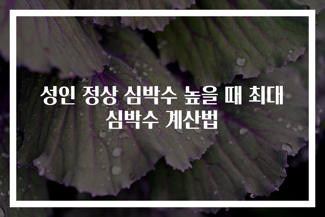 성인 정상 심박수 높을 때 최대심박수 계산법
