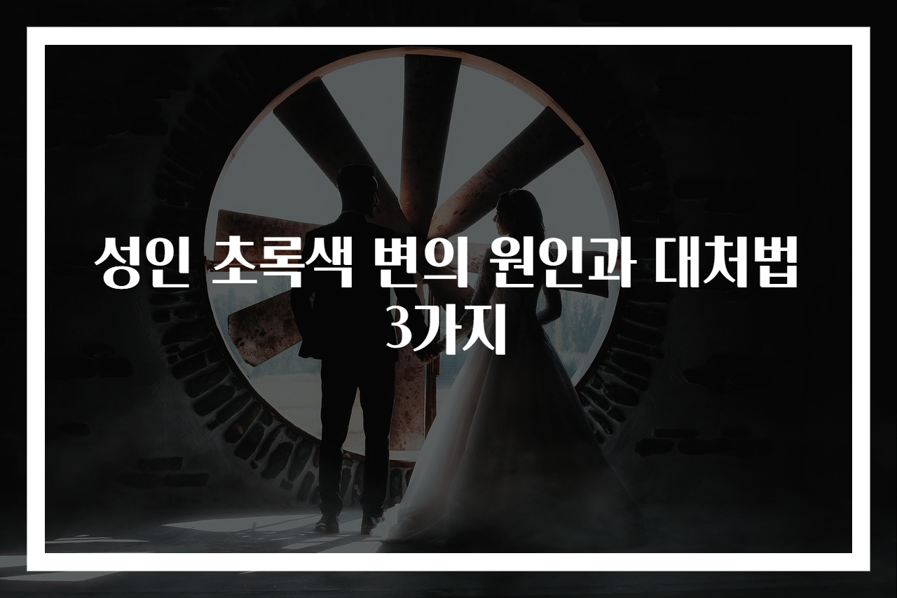 성인 초록색 변의 원인과 대처법 3가지