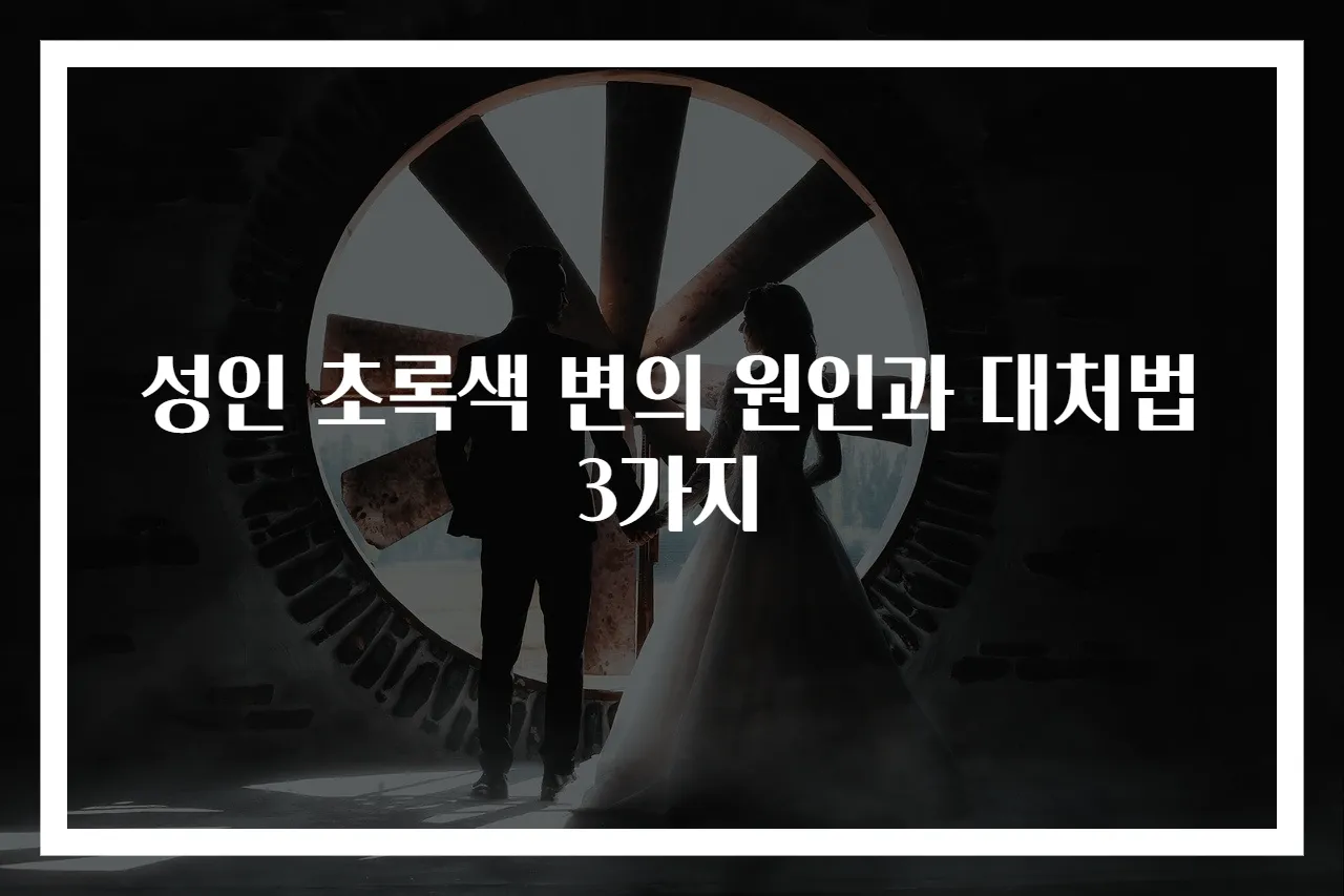 성인 초록색 변의 원인과 대처법 3가지