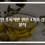성인 초록색변 원인 4가지 상세 분석