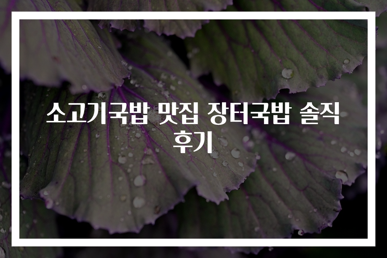 소고기국밥 맛집 장터국밥 솔직 후기