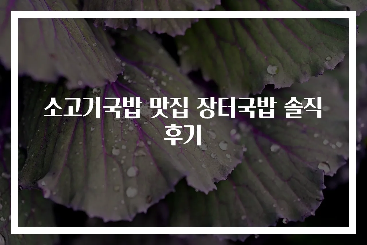 소고기국밥 맛집 장터국밥 솔직 후기
