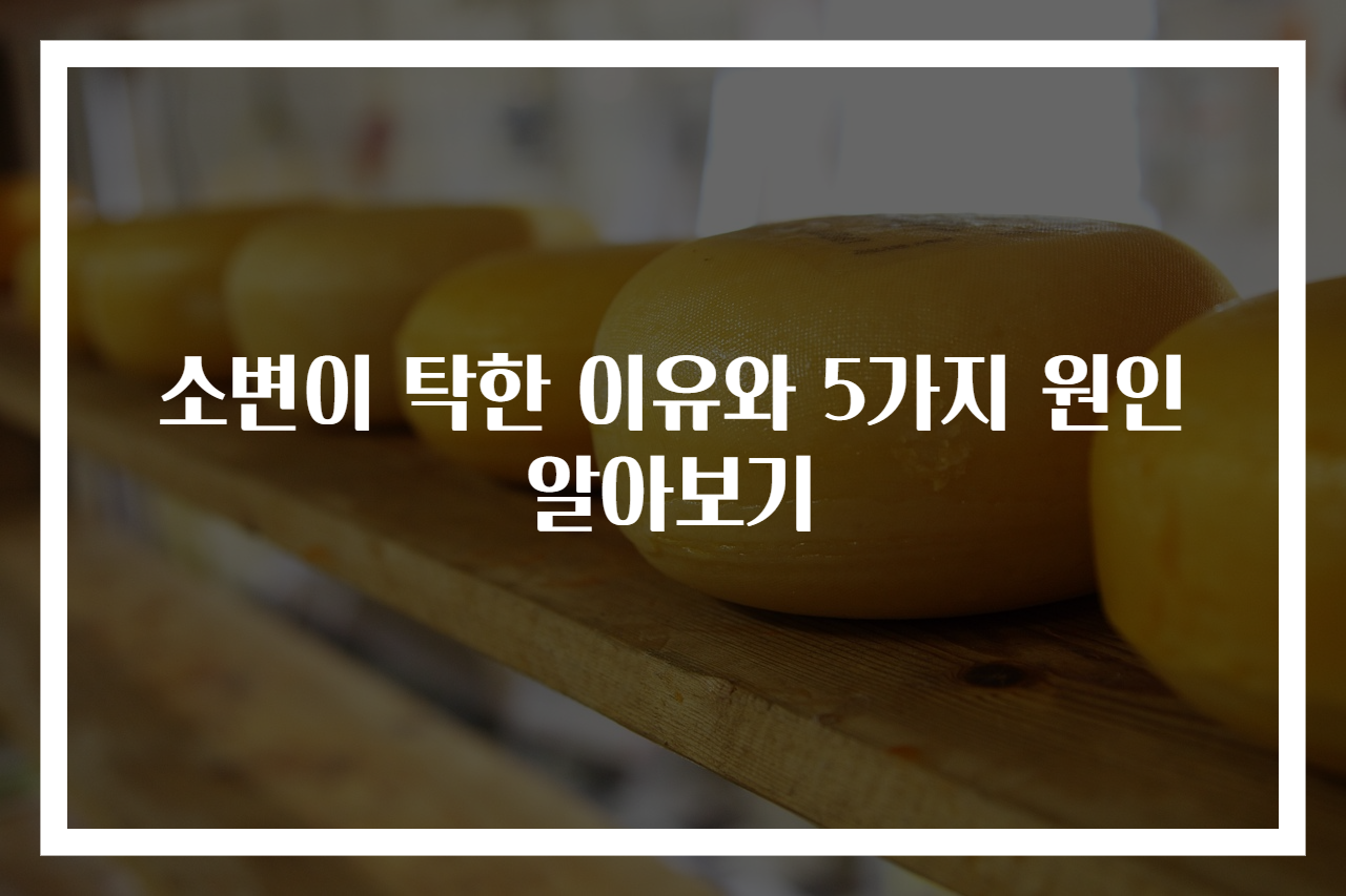 소변이 탁한 이유와 5가지 원인 알아보기