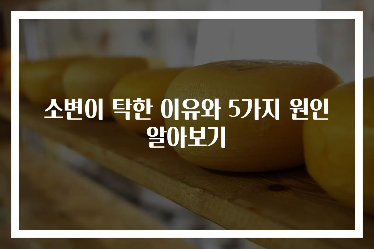 소변이 탁한 이유와 5가지 원인 알아보기