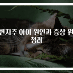 소변자주 아이 원인과 증상 완벽 정리