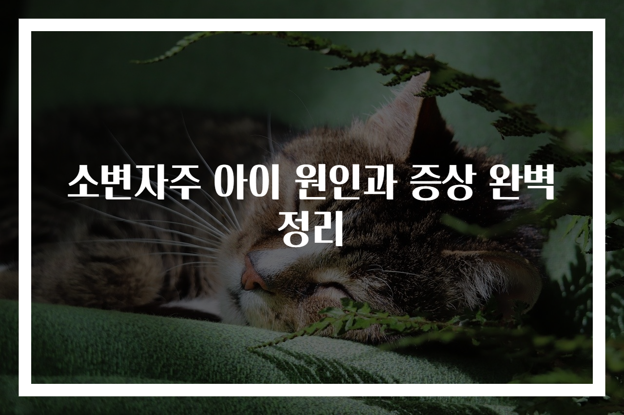 소변자주 아이 원인과 증상 완벽 정리