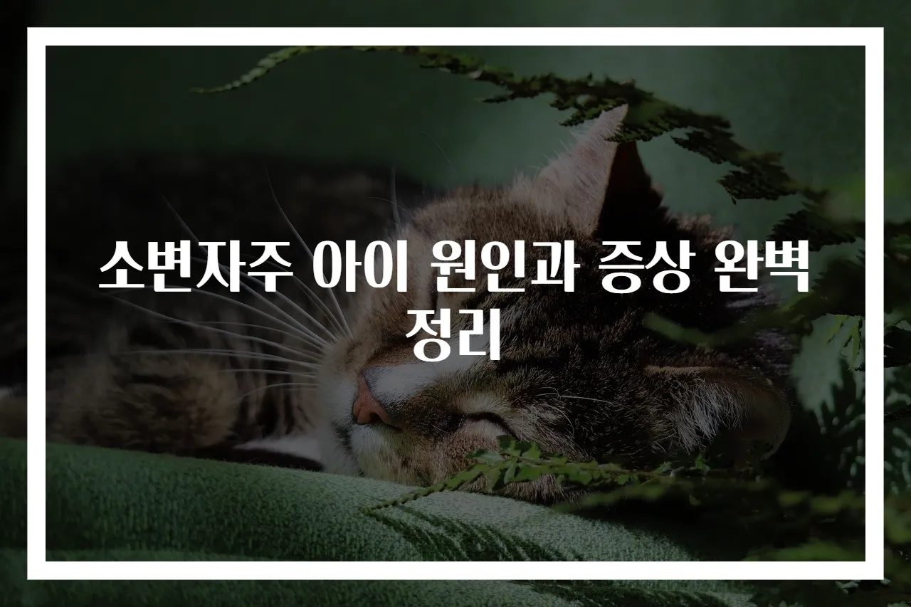 소변자주 아이 원인과 증상 완벽 정리