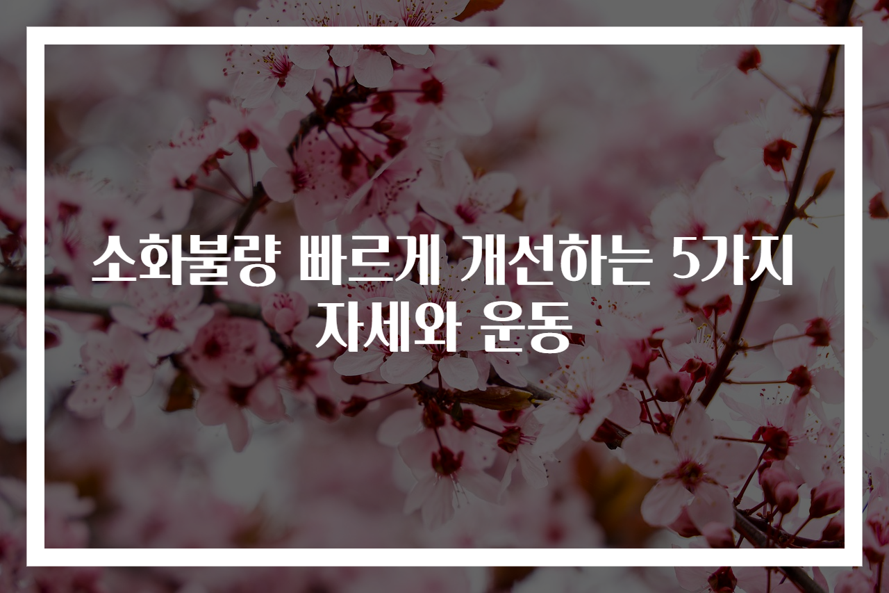 소화불량 빠르게 개선하는 5가지 자세와 운동
