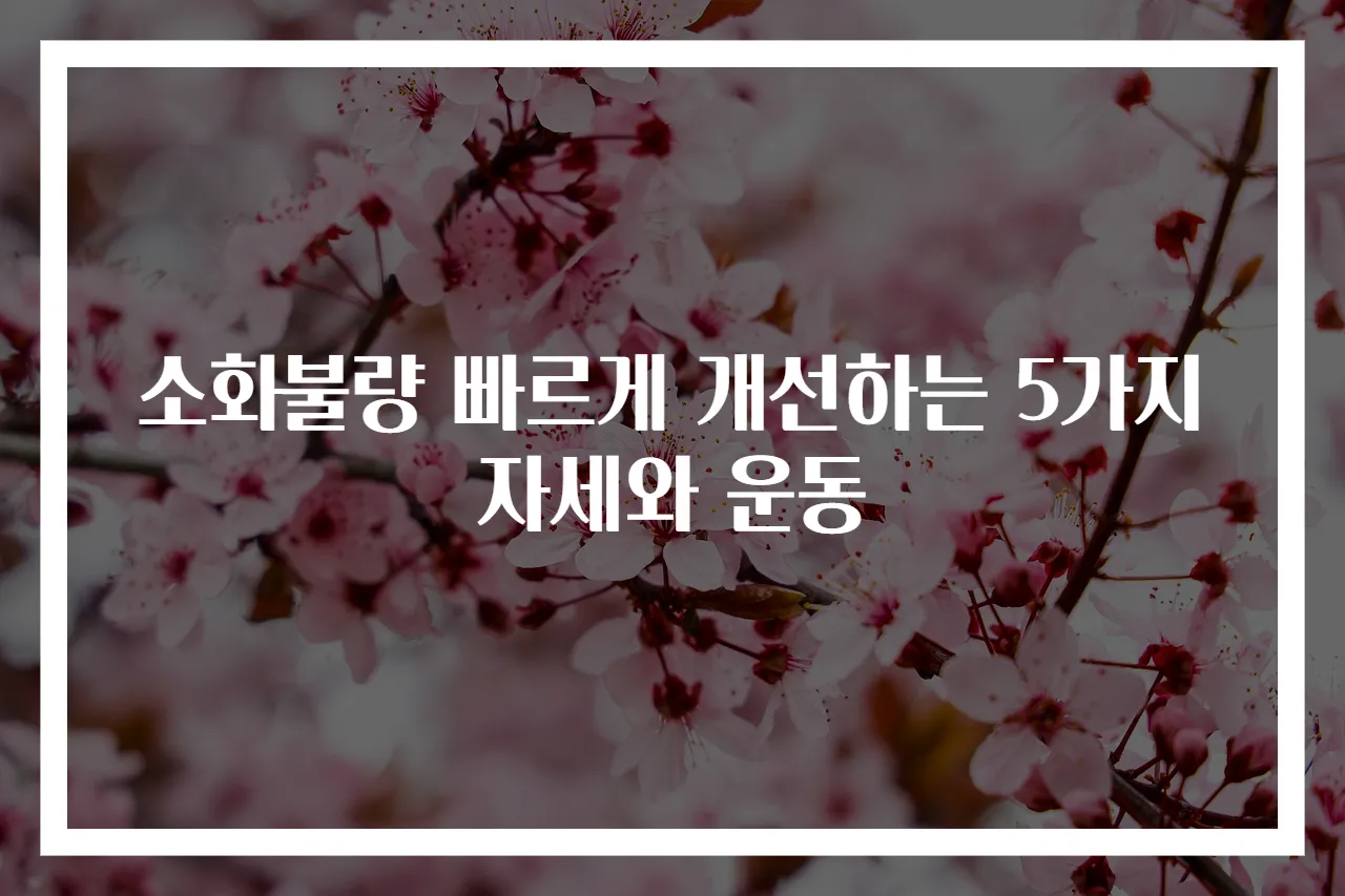 소화불량 빠르게 개선하는 5가지 자세와 운동