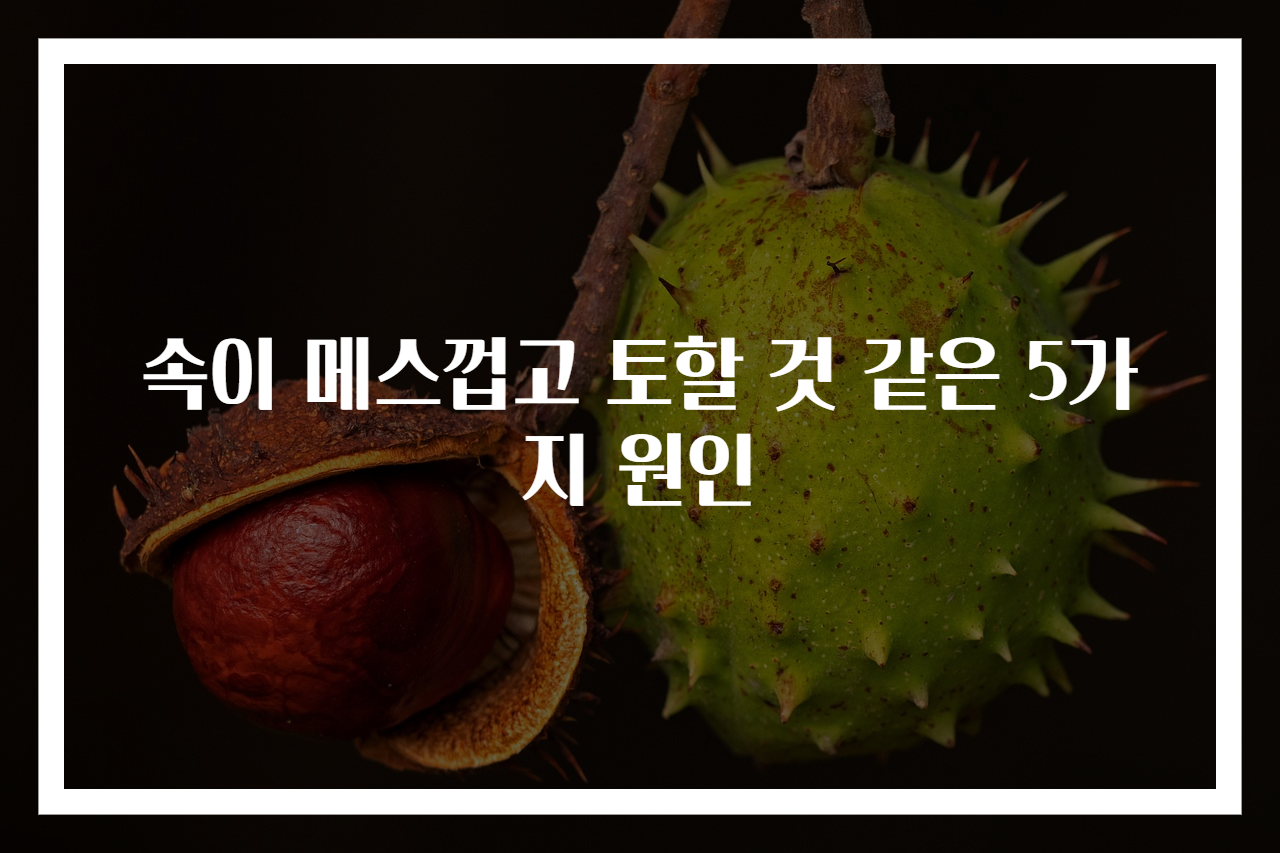속이 메스껍고 토할 것 같은 5가지 원인