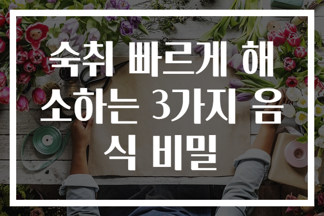 숙취 빠르게 해소하는 3가지 음식 비밀