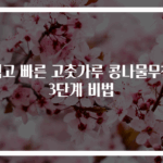 쉽고 빠른 고춧가루 콩나물무침 3단계 비법
