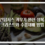 스킨답서스 키우기 완전 정복 체크리스트와 수경재배 방법