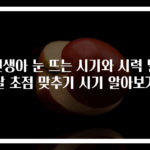 신생아 눈 뜨는 시기와 시력 발달 초점 맞추기 시기 알아보기