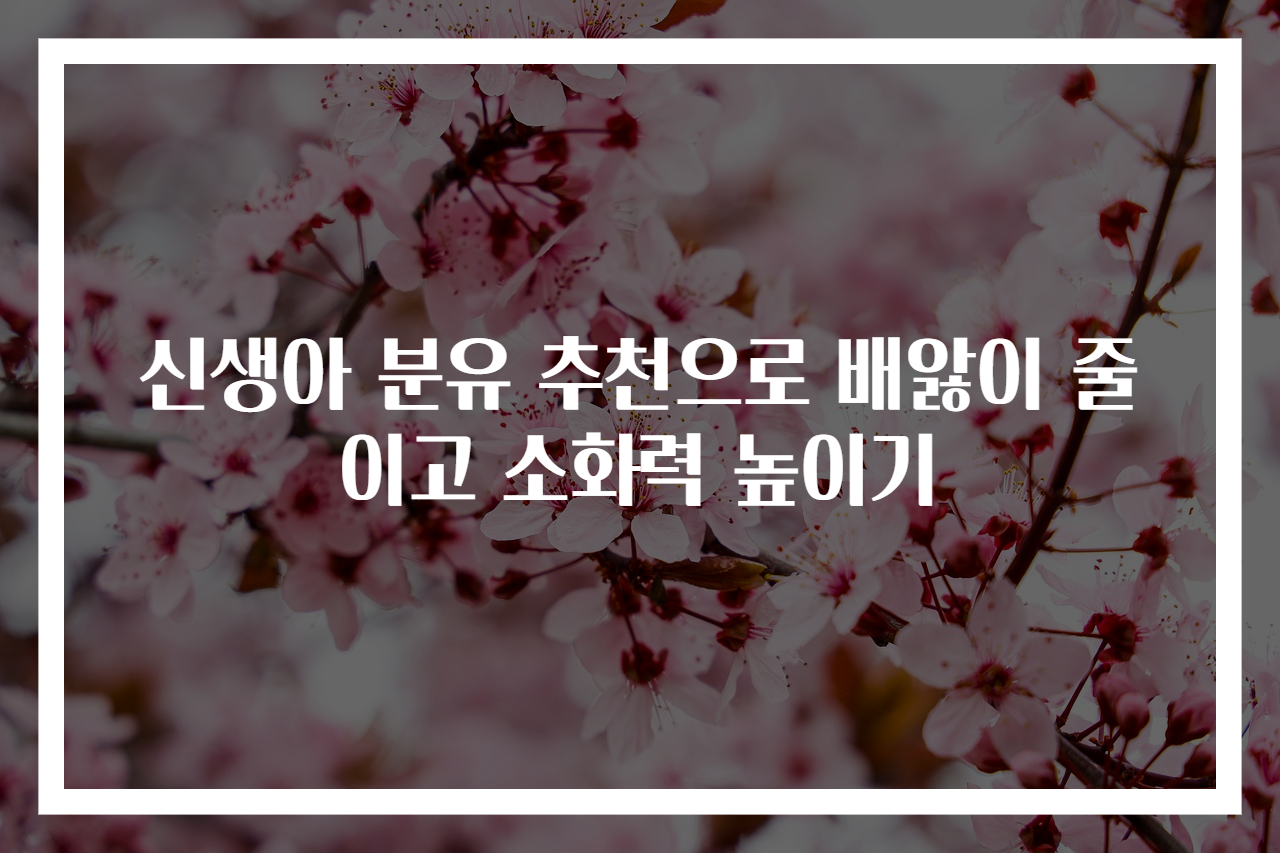 신생아 분유 추천으로 배앓이 줄이고 소화력 높이기