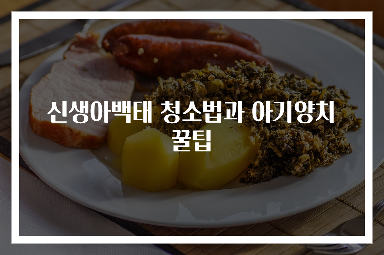 신생아백태 청소법과 아기양치 꿀팁