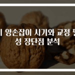아기 양손잡이 시기와 교정 필요성 장단점 분석