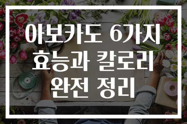 아보카도 6가지 효능과 칼로리 완전 정리