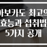 아보카도 최고의 효능과 섭취법 5가지 공개