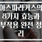 아스파라거스의 8가지 효능과 부작용 완전 정리