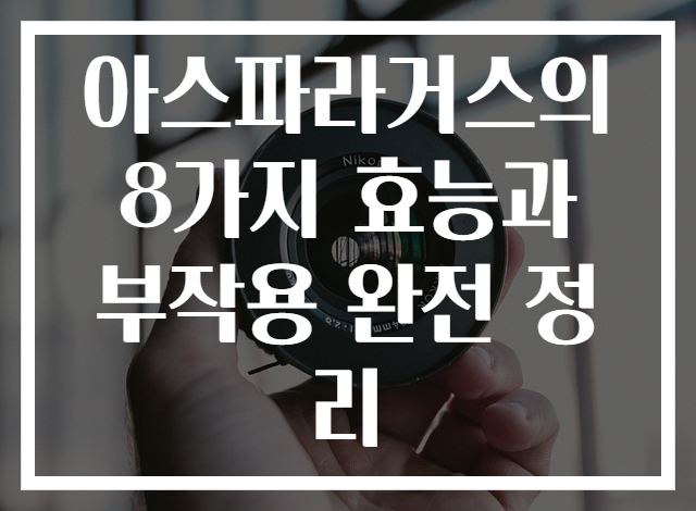 아스파라거스의 8가지 효능과 부작용 완전 정리