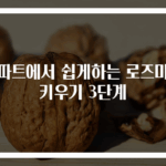아파트에서 쉽게하는 로즈마리 키우기 3단계